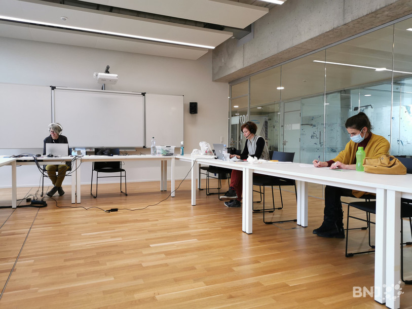 Les coordinateurs du projet ont organisé un atelier virtuel, pour mettre en commun les différentes idées. 