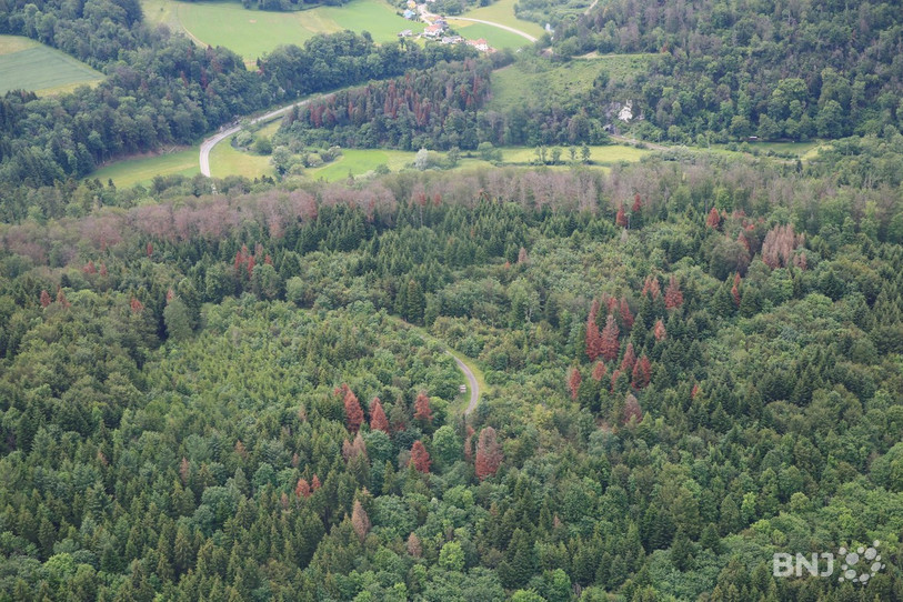Le Canton du Jura a accepté de définir de nouvelles zones classées en réserves forestières.