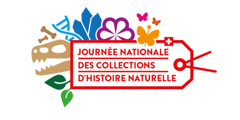 JURASSICA Museum et le Muséum d'histoire naturelle de Neuchâtel participent notamment à la deuxième Journée nationale des collections d'histoire naturelle (image : swiss systematics society).