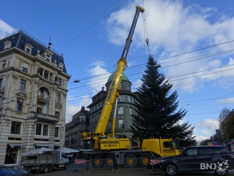 Il ne reste plus qu'à décorer l'imposant sapin. 