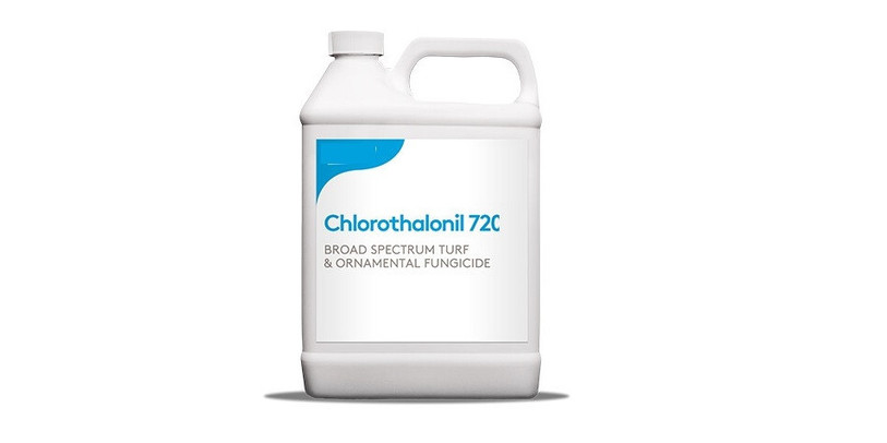 Le chlorothalonil peut se retrouver dans les eaux souterraines. (Photo : archives).