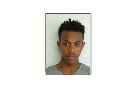 Un avis de recherche a été lancé pour Aron. (Photo: police)