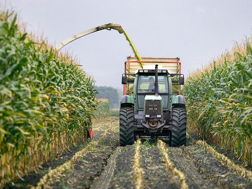 Des décisions du Conseil fédéral fâchent les agriculteurs. (Photo : KEYSTONE / Gaëtan Bally).