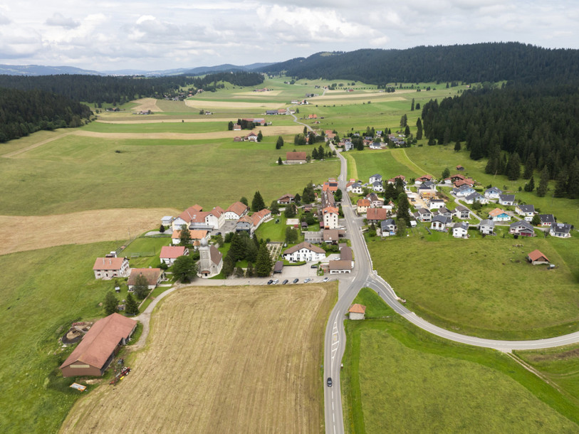 Un troupeau a été retrouvé à l'abandon en janvier dans une exploitation agricole de La Chaux-du-Milieu Les cadavres de quatre veaux et d’une vache ont été découverts et une dizaine de bêtes, surtout des vaches, ont dû être euthanasiées. (Photo : KEYSTONE/CYRIL ZINGARO)