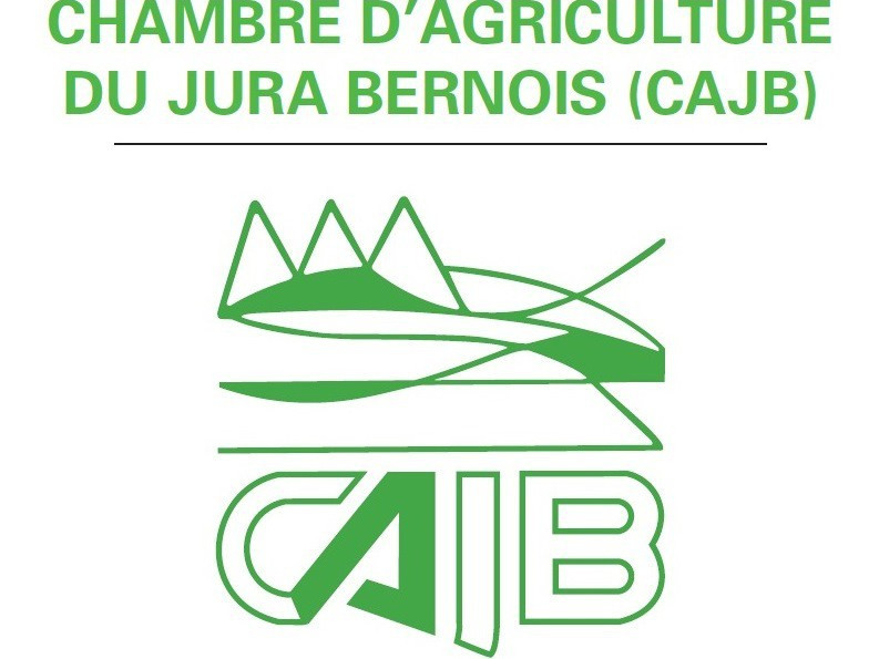 La nouvelle secrétaire entrera en fonction au printemps prochain. (Image : CAJB)