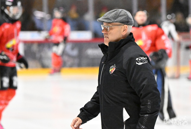 Gary Sheehan estime que les Abeilles peuvent aussi prétendre au trône. (Photo d'archives)