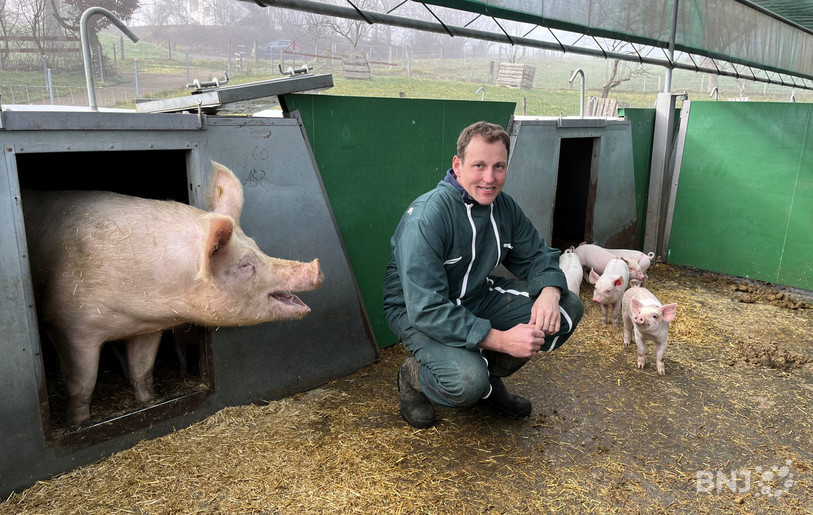 Dans son exploitation de Courtemelon, Vincent Boillat élève des porcs Bio, un marché à part.