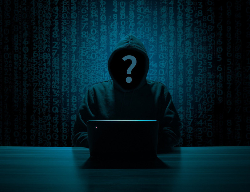Les cybercriminels sont souvent difficiles à identifier, car ils agissent depuis l'étranger. (Photo: LDD)