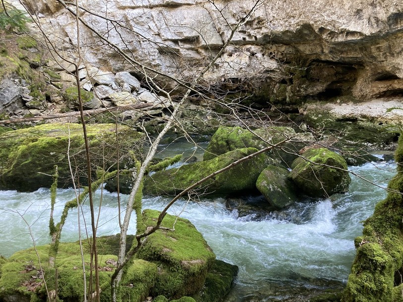 L'Areuse fait partie des cours d'eau concernés. (Photo : archives).