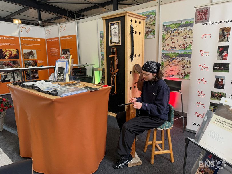 Sur le stand consacré aux métiers liés à la pratique du sport équestre, Fanny, 18 ans, en troisième année d’apprentissage comme artisane du cuir et du textile, est en train de réaliser une couture d'une bride sur un frontal.