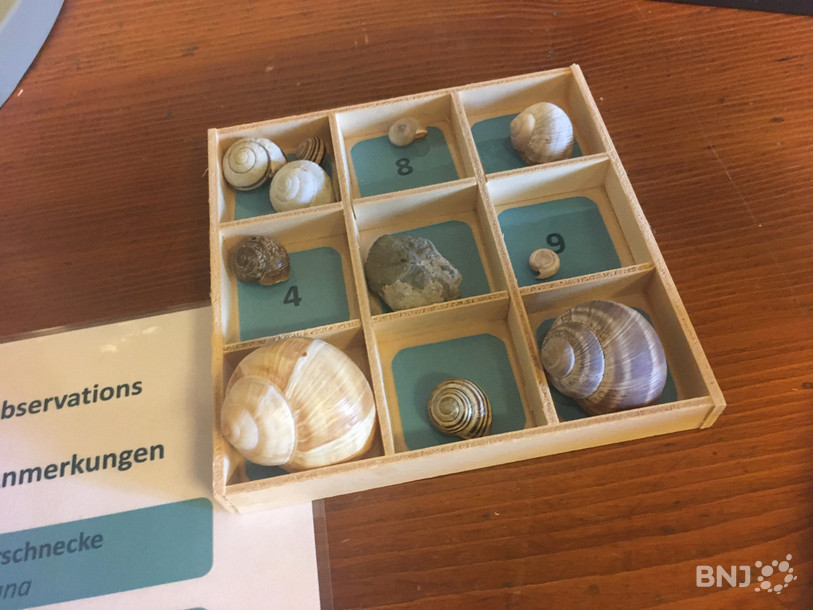 La seconde exposition « Escargots ! »