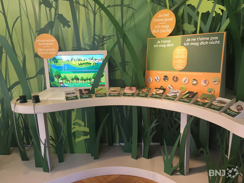 L'exposition au Centre Nature Les Cerlatez propose une exposition sur les insectes et une autre sur les escargots.