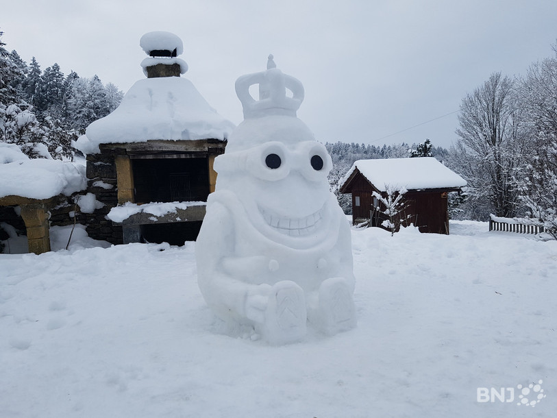 Chez ces particuliers, un minion gelé sorti tout droit de l'univers du film « Moi moche et méchant » trône désormais au centre du jardin.