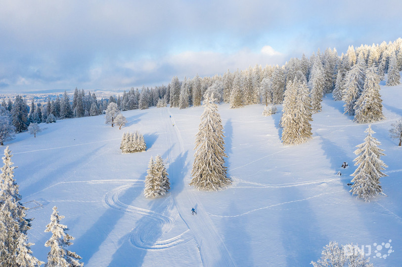 Les Franches-Montagnes sont actuellement le paradis des amateurs d’or blanc. (photo : Georges Henz).