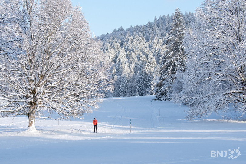 La neige ne devrait pas faire son retour ces prochains jours. (Photo archives : Georges Henz).