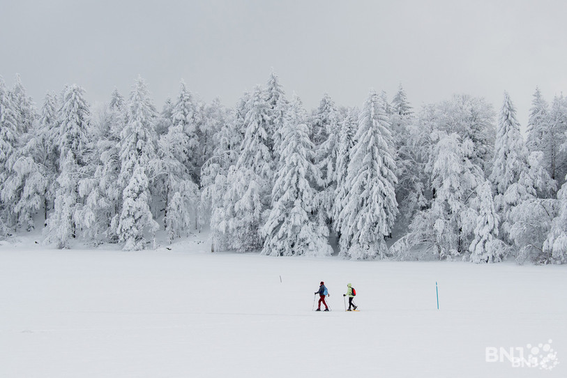 L'une des images fortes de ce début d'année : une nature givrée, qui offre un paysage en noir et blanc. (photo : Georges Henz).