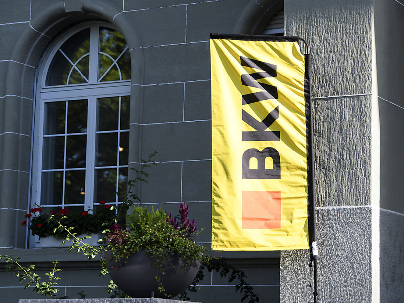 Les prestations de services de BKW ont largement contribué aux bons résultats de 2020. (Photo : KEYSTONE / Anthony Anex).