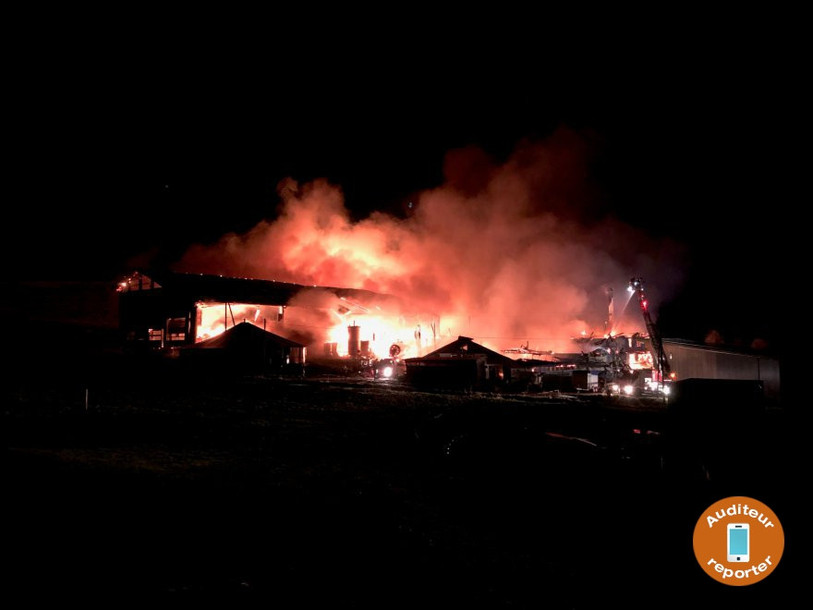 La ferme avait brûlé la nuit du 21 au 22 janvier. (Photo : archives - auditeur-reporter)