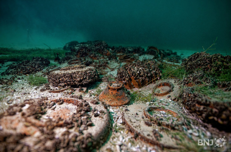 La richesse et la diversité de ces objets archéologiques, en excellent état de conservation, rendent cette découverte unique à l'échelle suisse (photo : Crédit © Fondation Octopus)