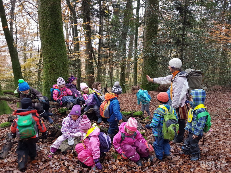 Les enfants apprennent beaucoup au contact de la nature. (Image d’illustration)