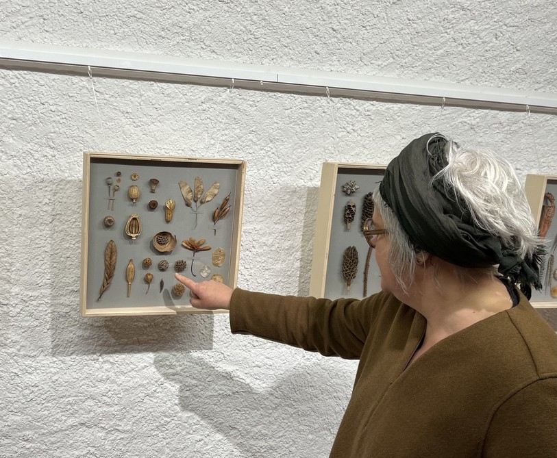 Jane Bosshard Quillerat présente ses oeuvres à la galerie du Caveau à St-Ursanne.