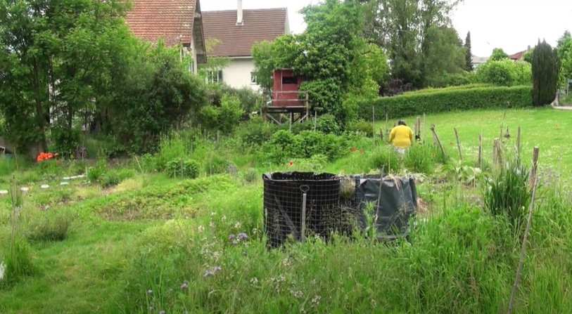 L'avenir de la parcelle située au chemin de la Parcelle devrait s'écrire en vert. (Photo : Youtube/przewalski horse).