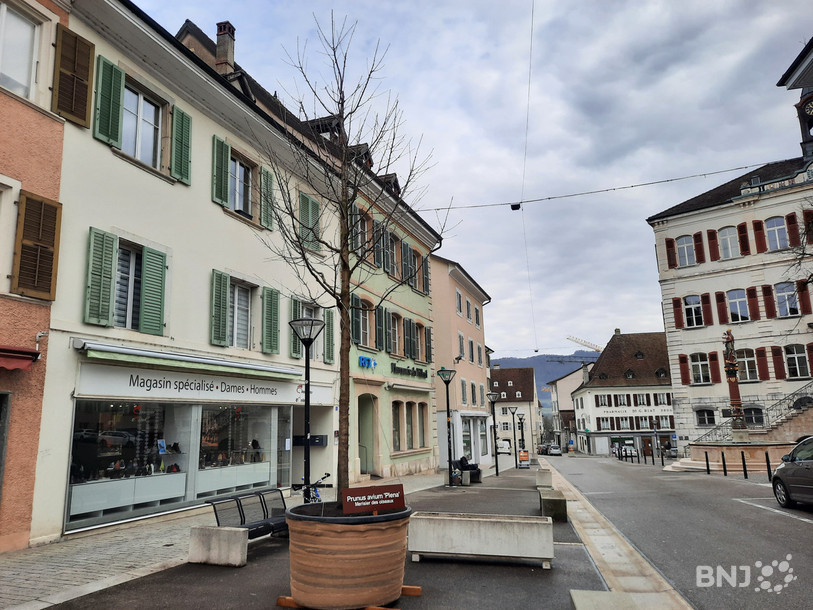 Des arbres témoins ont déjà été installés en Vieille Ville. Ces essences pourraient remplacer les actuels tilleuls.