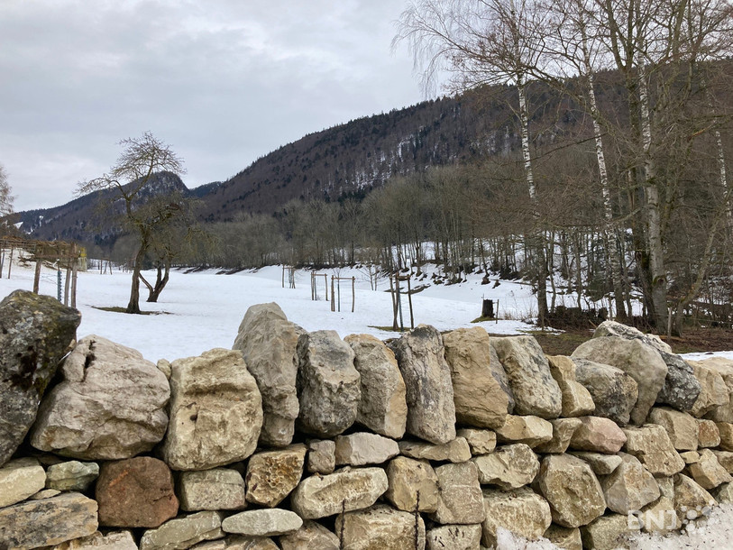 240 mètres de mur en pierres sèche ont été restaurés au Pâquier.