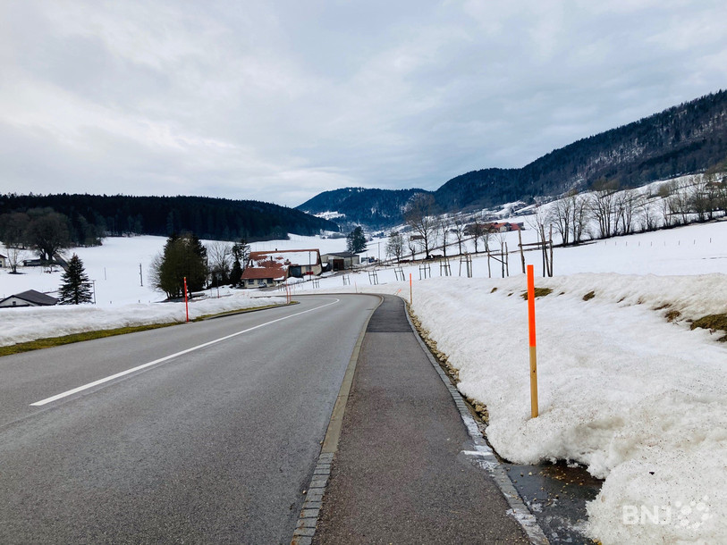 Une série d'arbres fruitiers marquent désormais l'entrée dans le village du Pâquier. 