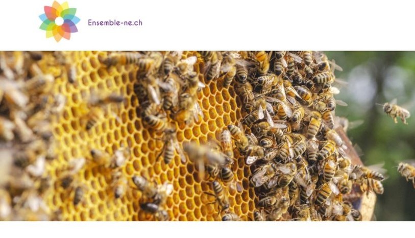 La plateforme veut à la fois venir en aide aux personnes touchées par la pauvreté et réunir un maximum d'acteurs actifs dans l'aide social et de la santé. (Capture d'écran : www.ensemble-ne.ch)