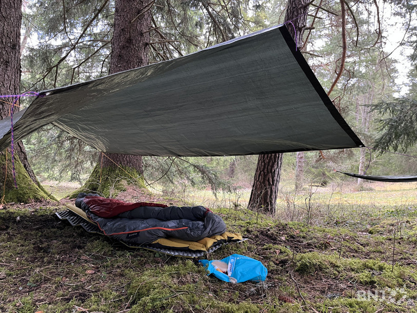 Passer une nuit en forêt peut être tout confort, grâce à l'installation d'Anaëlle et Estelle.