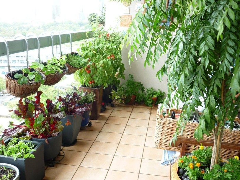 Balcon jardin