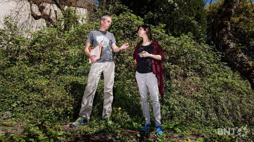 Sébastien Gerber, membre du comité de Pro Natura Grand Chasseral, arpentant les 500 mètres carrés de terrain de Nathnalie Mauri, une habitante de La Neuveville qui a sollicité so expertise. (Source: Matthias Käser)