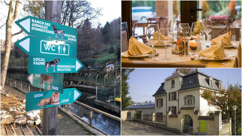 Les zoos et les musées pourront à nouveau accueillir des visiteurs. En revanche, les restaurants doivent rester fermés. (Photos: BNJ/libre de droit)