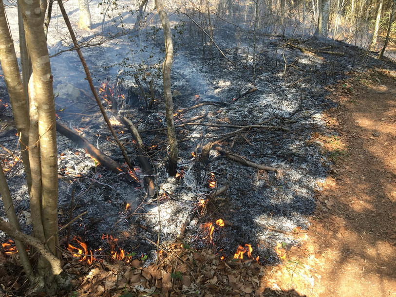 La région n'est pas épargnée par les feux de végétation et de forêt. Ici, c'est à Chézard-Saint-Martin que les pompiers ont dû intervenir. (Photo : SDI VdR)