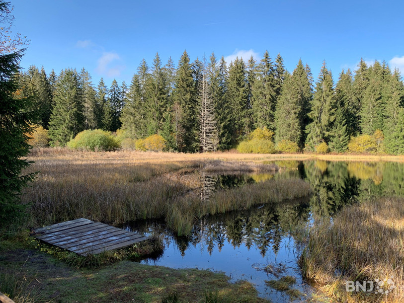 Les travaux de revitalisation pourront se réaliser pour la tourbière de La Gruère.