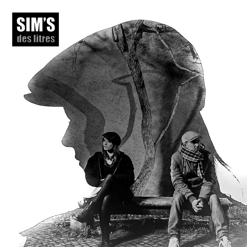Sim's