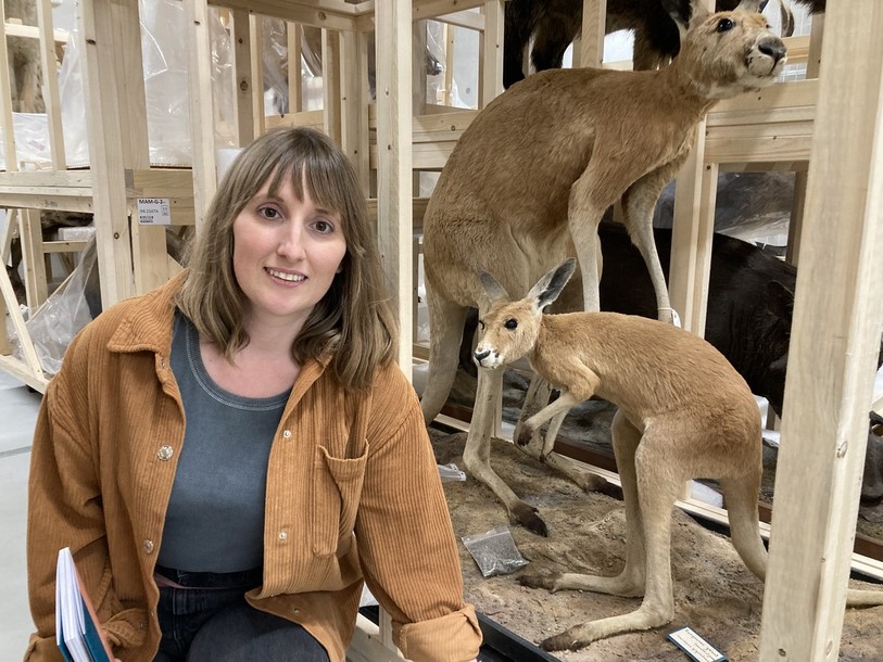 MarieMo, Marie-Morgane Adatte de son vrai nom, a suivi durant deux ans le processus de déménagement des collections du Muséum d'histoire naturelle de Neuchâtel.
