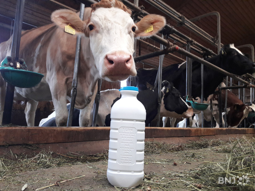 La filière du lait est en pleine mutation dans la région. (Photo : archives).