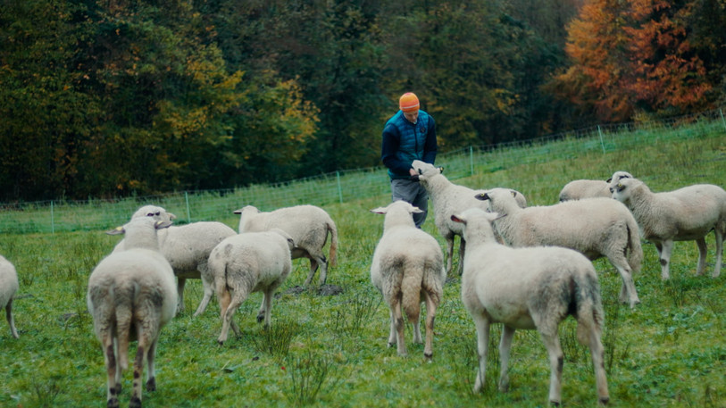 Le nouveau documentaire « Devenir Paysan » questionne la place laissée aux personnes ne provenant pas du milieu agricole. (Photo : Alexia Tissières).