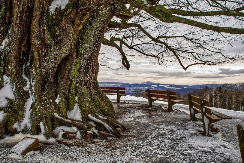 La neige devrait enfin céder sa place, alors que le printemps arrive... (Photo d'illustration)