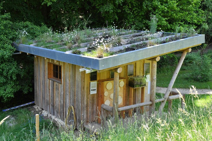 L'exposition permanente du Jardin Botanique de Neuchâtel a fait mouche. (Photo : Ville de Neuchâtel).