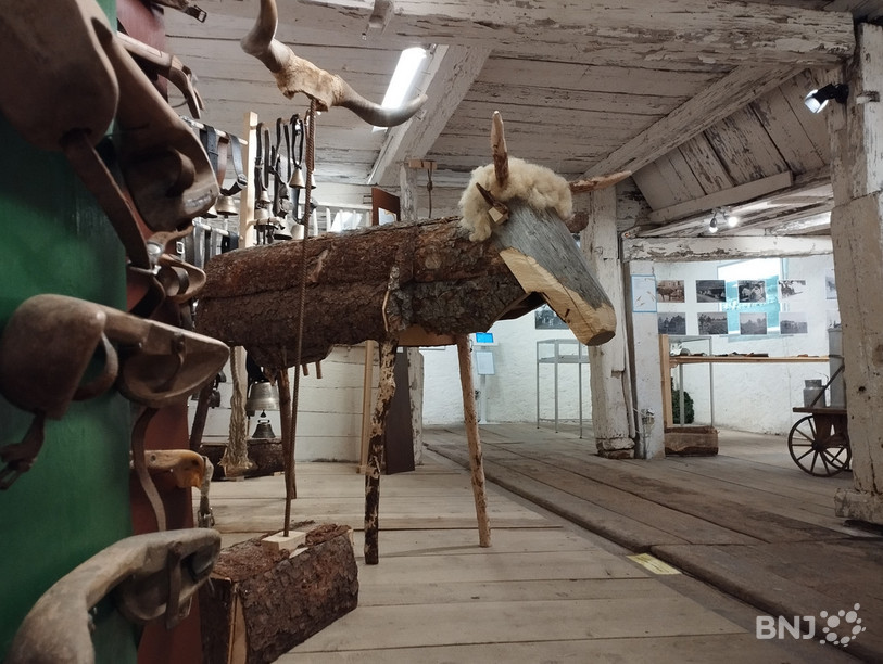 L’exposition est décorée d’animaux en bois confectionnés par des bénévoles du musée, ainsi que de photographies des archives cantonales et de la fondation Mémoires d’Ici.