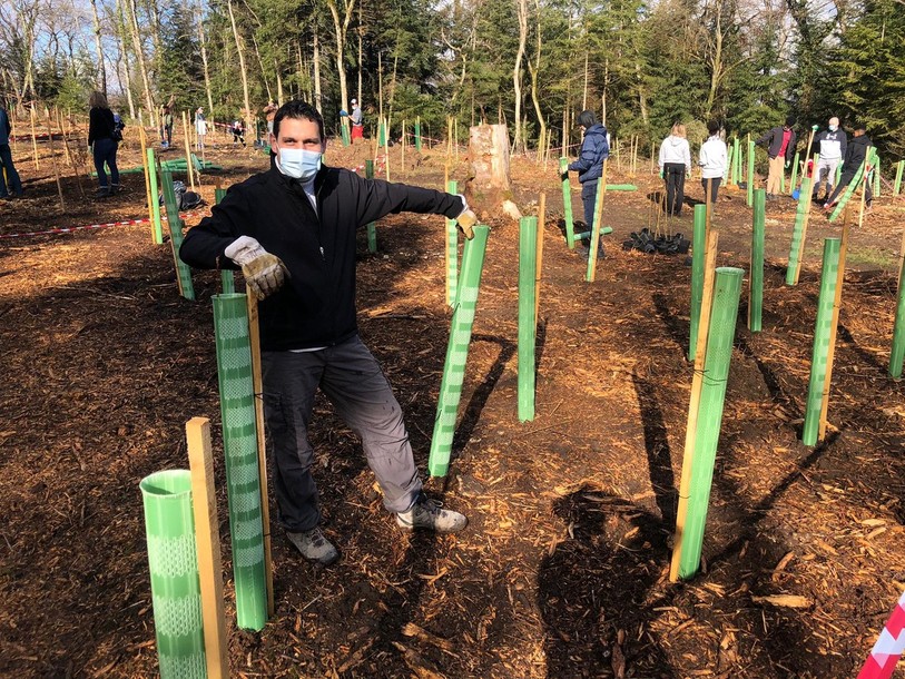 Samedi, 500 arbres ordinaires et 30 dit « remarquables » ont pris racine sur les hauteurs de Porrentruy. (Photo : Pierre-Arnauld Fueg)