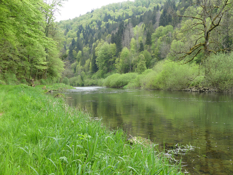 Le canton du Jura rappelle à la population les règles de comportement pour protéger la nature. (Photo : ENV/ Jura).