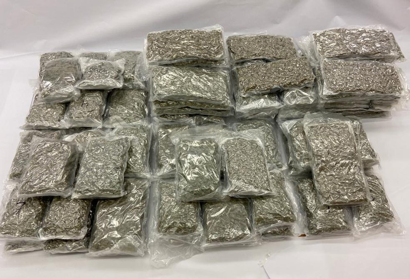 La Police cantonale bernoise a saisi près de 110 kilogrammes de marijuana lors d'une perquisition à Brügg. (Photo : Police cantonale bernoise)