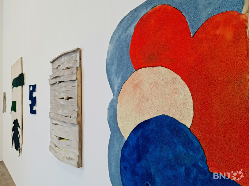 Les oeuvres de la Biennoise Vera Trachsel font partie de la nouvelle exposition du Pasquart.