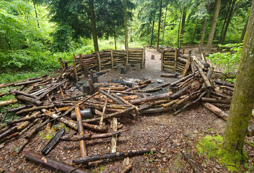 Le canapé forestier a été en grande partie détruit. (Photo : Commune de Courgenay).