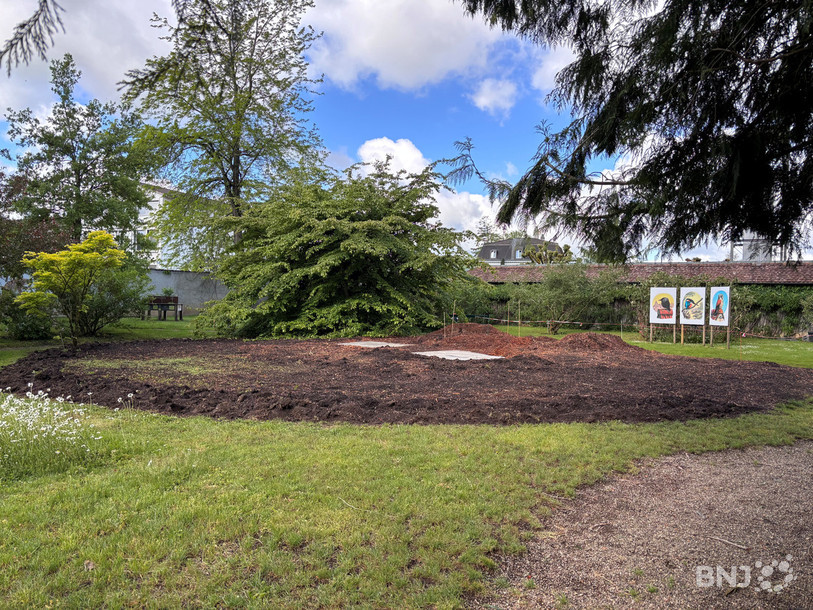 Le vide laissé par le hêtre rouge change la physionomie du jardin botanique.
