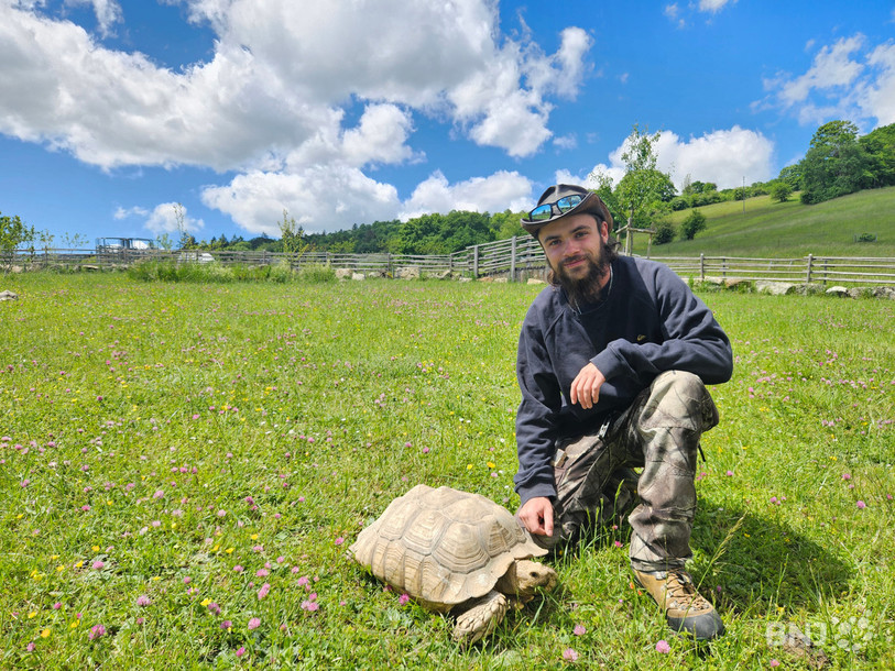 Dylan Quiquerez, propriétaire du Domaine de Bel-Air au Landeron, fourmille d'idées et de projets pour développer le zoo.
